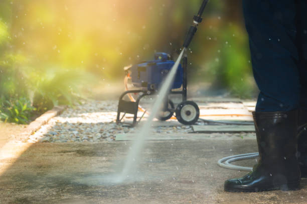 Best Roof Washing  in Quitman, TX